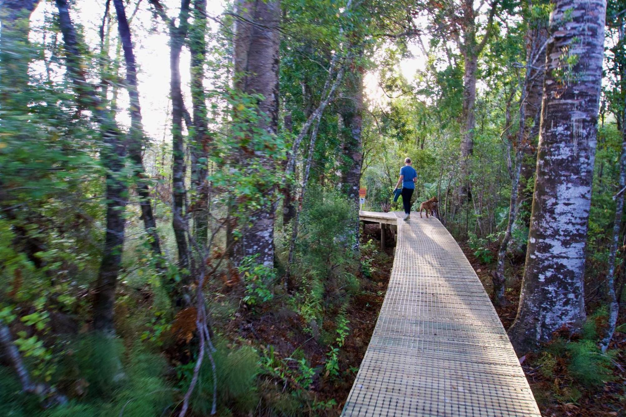 Sapphire Springs Holiday Park And Thermal Pools Katikati Eksteriør billede